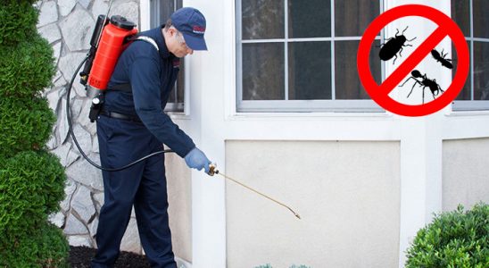 Savaştepe Dezenfeksiyon böcek ilaçlama ve haşere kontrolü — ilaclama-tr.com